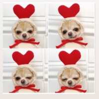 https://images.plurk.com/5Yomw1fFV46oo6lhspCeUH.png