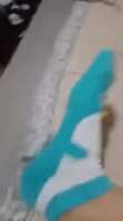 https://images.plurk.com/5Z4NC8aDk9pUCvJUaxDVkh.gif