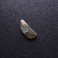 https://images.plurk.com/5ZCAKIVnm2fwBUvtfImprt.jpg