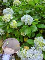https://images.plurk.com/5ZDtWXwwyw7GgEwr8fWXvb.jpg