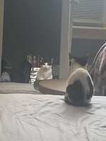 https://images.plurk.com/5ZQvLJzmSVwuQ03LVJfsAu.jpg