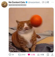 https://images.plurk.com/5ZT0CKlIn5xhtZrBoGrwK5.jpg