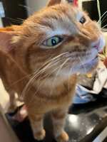 https://images.plurk.com/5Zhii994ovRNyDIeDwNrnn.jpg