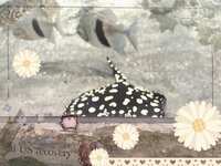 https://images.plurk.com/5Zkyuxsqsdqw8QFI4UdjRW.jpg