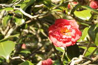 https://images.plurk.com/5ZljYXC4x3L33nZM34AoSE.jpg