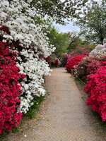 https://images.plurk.com/5Zn6Lva9wXbsIU36BaR7NP.jpg