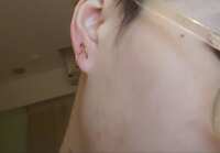 https://images.plurk.com/5Zqf0dsieQS1eg6jDixNcZ.jpg