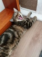 https://images.plurk.com/5ZtPeZgRJHb82Q8my4QnKb.jpg
