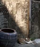 https://images.plurk.com/5a33pMaXTmjhyYNKPFDgWd.jpg