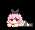 https://images.plurk.com/5aAf3fnpwfRJXPUeTpyX2p.gif