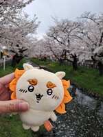 https://images.plurk.com/5aEiinqXRz3Wcc3wQz0B8Y.jpg
