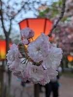 https://images.plurk.com/5aHVwLBvo26jjXM79HxBja.jpg