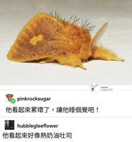 https://images.plurk.com/5aJAXmHdhJXsTfvbL9WrGP.jpg