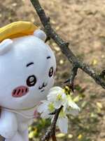 https://images.plurk.com/5aZqM3agBAmngjKKdfk4qx.jpg