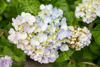 https://images.plurk.com/5ahwvp1bYgTQ6supJ4AXLL.jpg