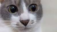 https://images.plurk.com/5aoN5CHUrHhBf3GQtbhQeN.png