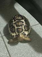 https://images.plurk.com/5azmi6Q6YOCcDJVsQgRuda.jpg