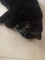 https://images.plurk.com/5bCeivaVzPSpP5gQZiEgM7.jpg