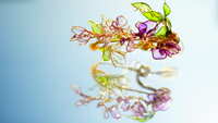 https://images.plurk.com/5bDdH5vCy4DTni7SWkD4K1.jpg