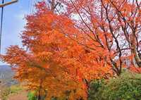 https://images.plurk.com/5bIuRpvWnOZpnq8NvswcGS.jpg
