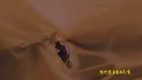 https://images.plurk.com/5bO7T4nU6j9dsNCk8q1EMG.png