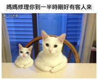 https://images.plurk.com/5bQ6w7lHk3keyFcqTVA6SB.jpg