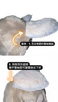 https://images.plurk.com/5bUNUyiJRsZFlppFjdZq6i.jpg
