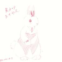 https://images.plurk.com/5bUUiiFFpeykfeNavNf8XB.png
