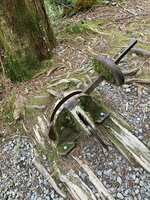 https://images.plurk.com/5bkzLfH7AnLrImtn8dxWUi.jpg