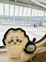 https://images.plurk.com/5bo5t70jXE8M6pUppdrLn0.jpg