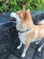 https://images.plurk.com/5bxBTbbTPbhlNjle6szH2s.jpg