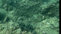 https://images.plurk.com/5c2PwMkWaYhK5M6juNOGy8.jpg