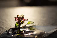 https://images.plurk.com/5c7isGs0OmYb9I7cinrDxQ.jpg