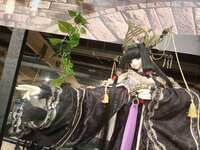 https://images.plurk.com/5c8agEghl96qDy4mwNy4bA.jpg
