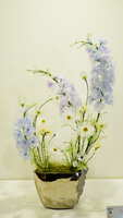 https://images.plurk.com/5c9rZQjYwVx6tBcG08jrdW.jpg