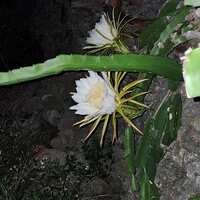 https://images.plurk.com/5cKTum82uAKIFqSS7JfsDg.jpg