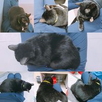 https://images.plurk.com/5cKlgQa7kbRvIaZe1otmf2.jpg
