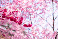 https://images.plurk.com/5cUZtRyPbEDUJdlM3iUGyV.jpg