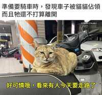 https://images.plurk.com/5caw6MeeIBK7d82QdyfHGM.jpg