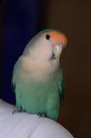 https://images.plurk.com/5ciJ8i2lDWup8agCAnxawY.jpg