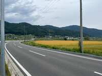 https://images.plurk.com/5cvDqCBM7iEStgY5Q3J8S.jpg