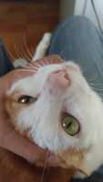 https://images.plurk.com/5cvlfyJUzYJIMP87h5zWAg.jpg