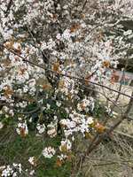 https://images.plurk.com/5cxc9i6VsOE9dBcLnlKt2r.png