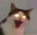 https://images.plurk.com/5d6nm0gEBimTyvxsCvN4Tg.png