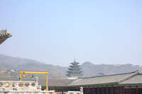 https://images.plurk.com/5dAH458amKFCHh7HG0QkFe.jpg