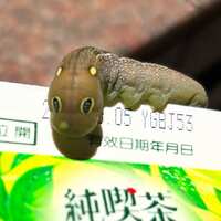 https://images.plurk.com/5dAXkyiwZtjSYQps4QVaUV.jpg