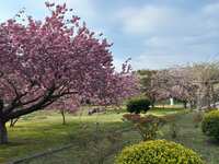 https://images.plurk.com/5dGF7H8Z7L6yRg4c8H8aqx.jpg