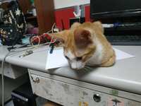 https://images.plurk.com/5dK8tJwwtHgYPBjPDIsQos.jpg