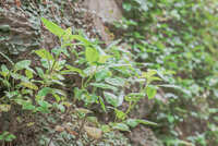 https://images.plurk.com/5dP1RV8lflFc8O5Ct6Ky3O.jpg