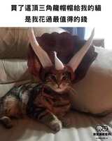 https://images.plurk.com/5dPJ8sQfFcMERnoZ2BN1fC.jpg